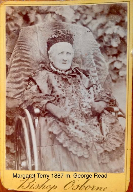 The 19th Century Photographic Record of the Thylacine